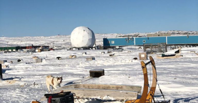 Polar Ice - Sled and a Dog on a Snow Covered Ground