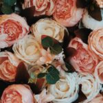 Coral Bleaching - Bouquet of Roses