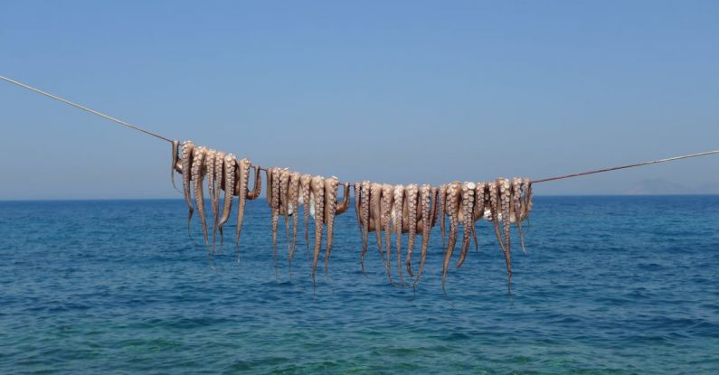 Octopuses - Octopuses Hanging on the Line above the Sea