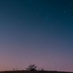 Plankton - Sea bay under starry sunset sky