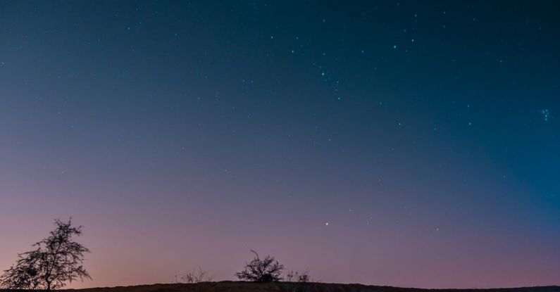 Plankton - Sea bay under starry sunset sky