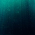 Deep Sea - Underwater Photography of Deep Sea