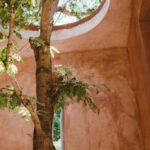 Adaptations - Tree Growing in a Decorative Brown Interior