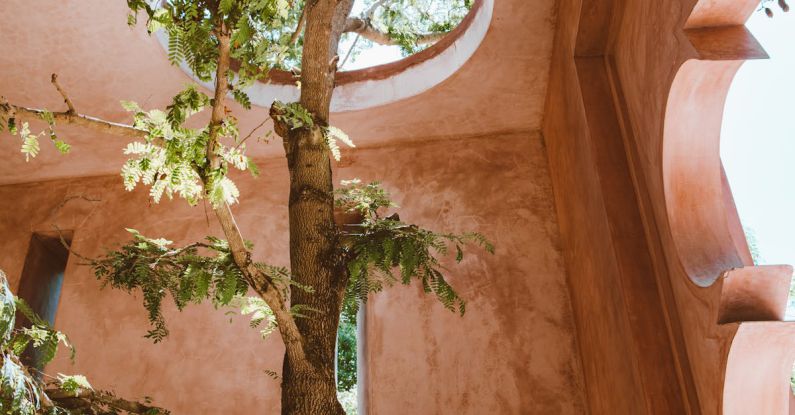 Adaptations - Tree Growing in a Decorative Brown Interior