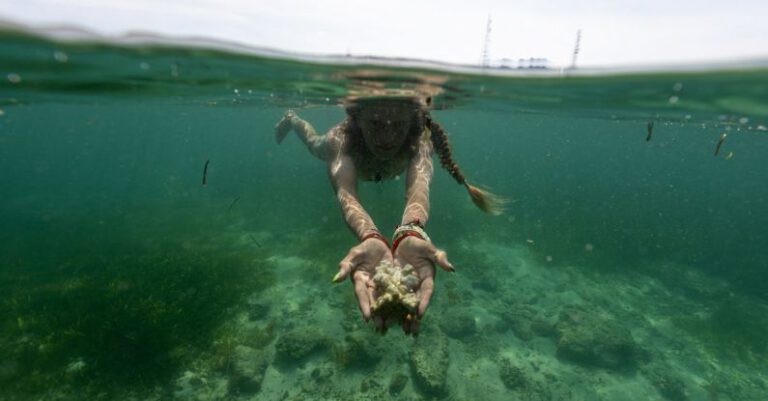 Diving Expedition - A woman is underwater with her hands in the water