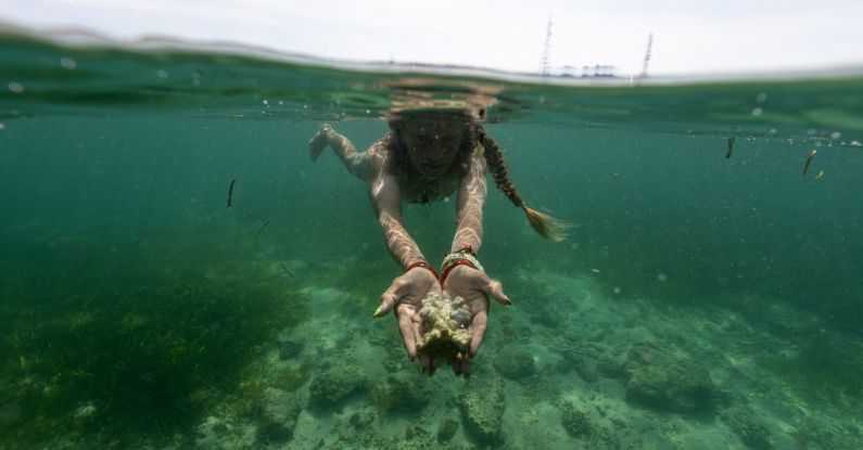 Diving Expedition - A woman is underwater with her hands in the water